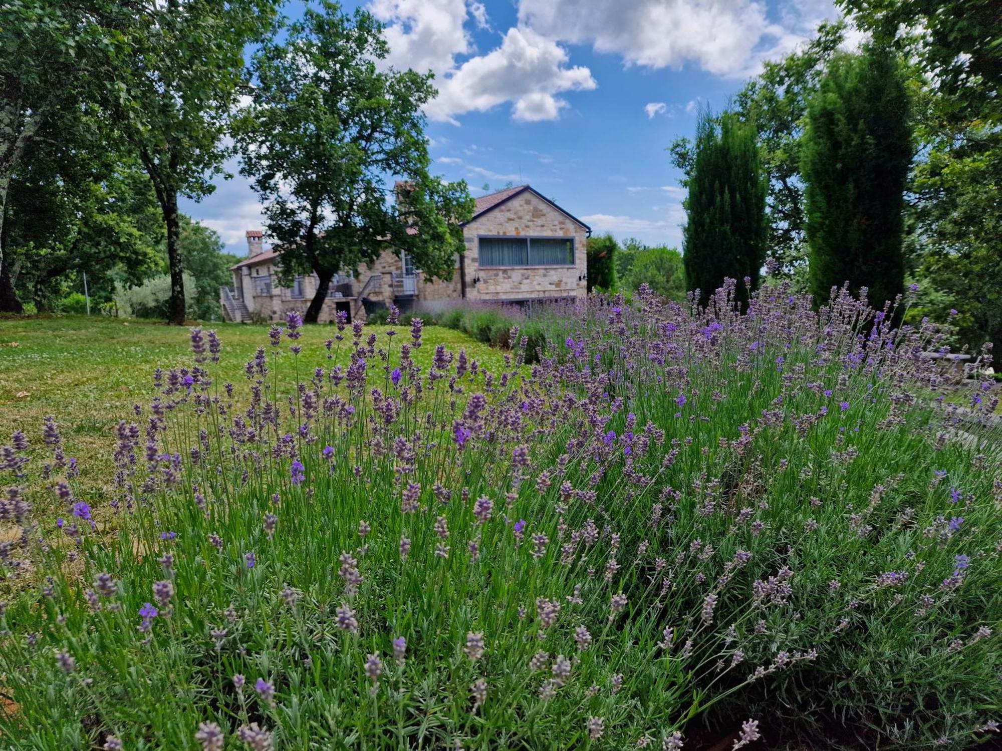 Stancija Ruseti Bed and Breakfast Oprtalj Exteriör bild