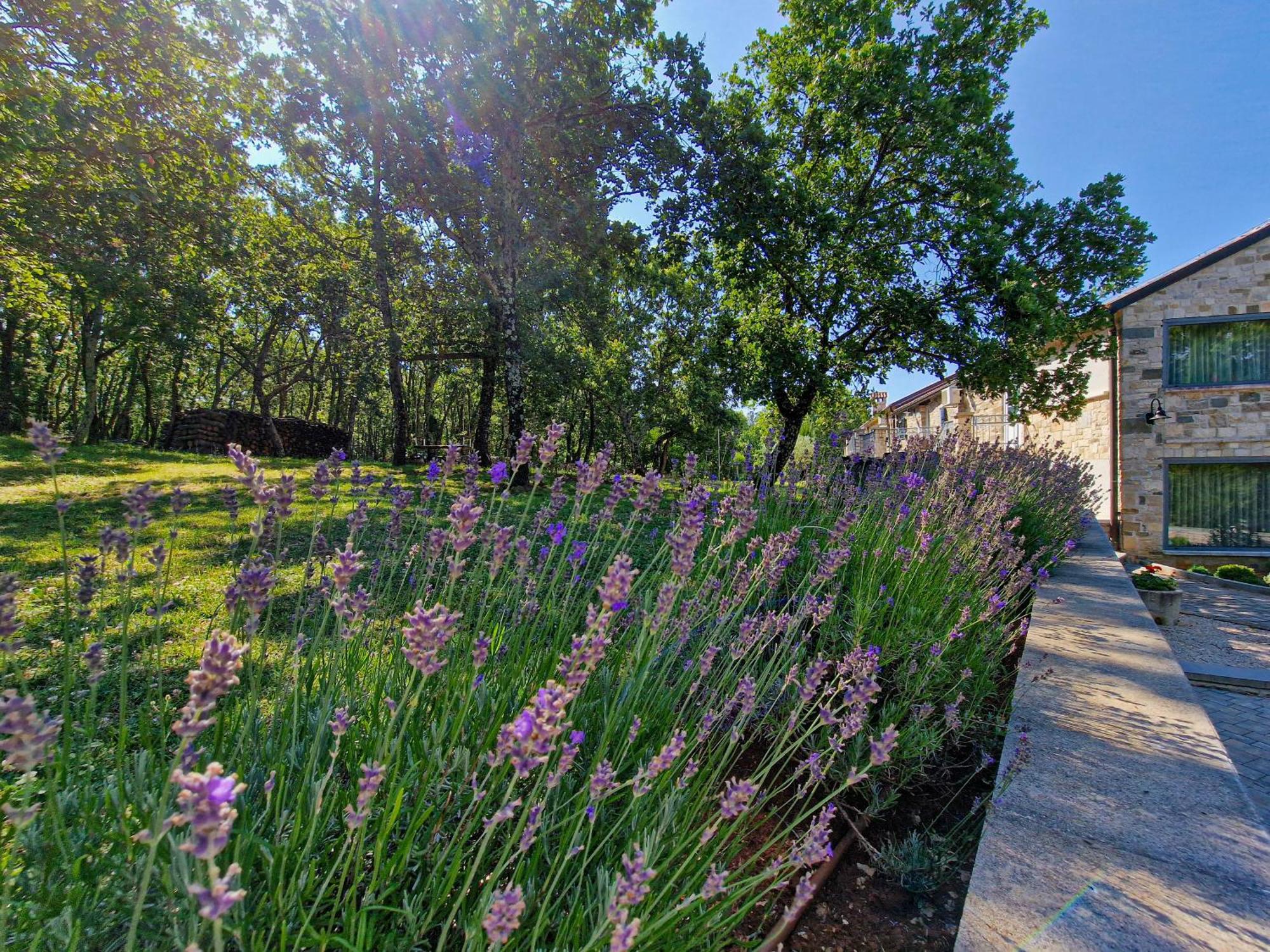 Stancija Ruseti Bed and Breakfast Oprtalj Exteriör bild