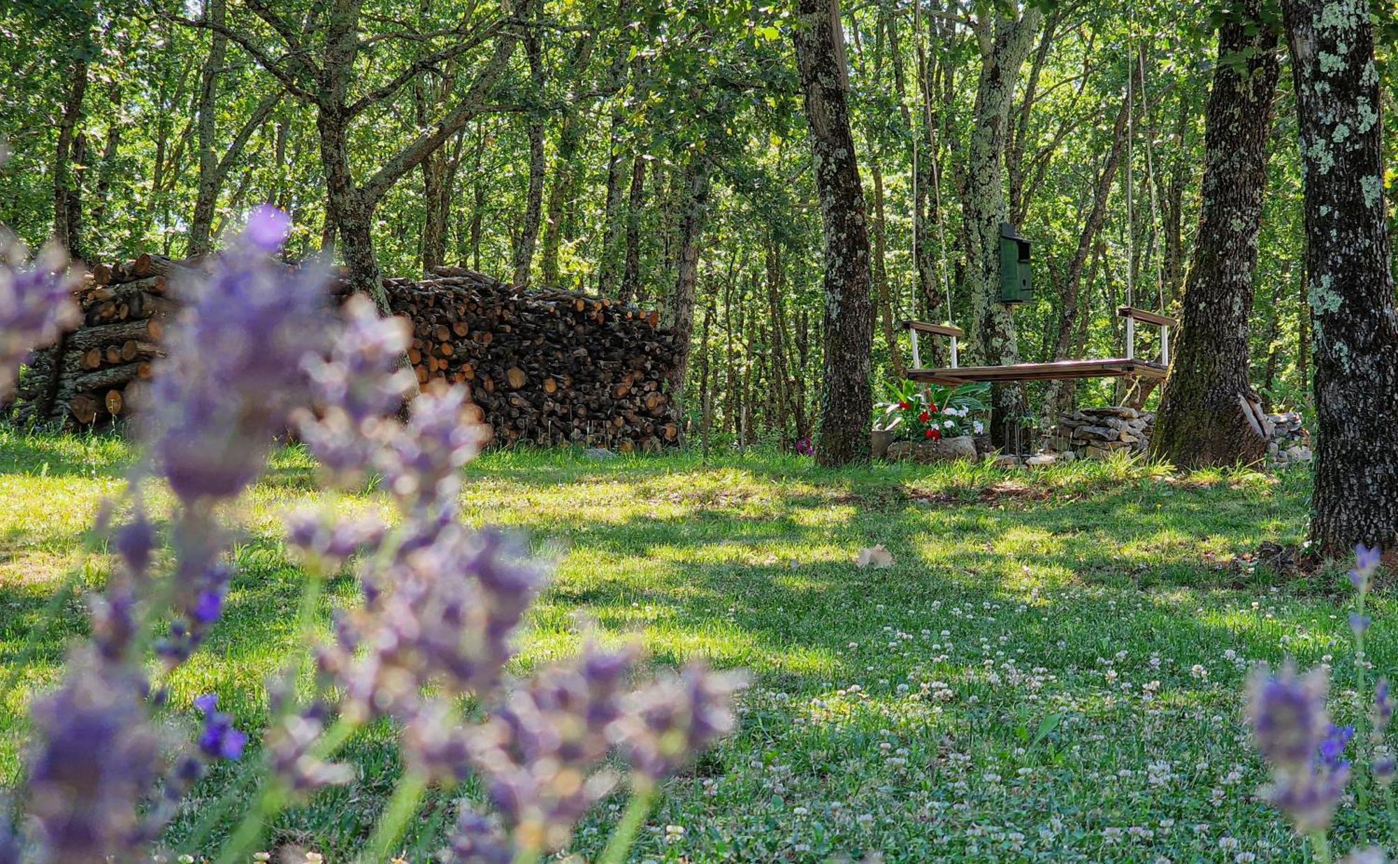 Stancija Ruseti Bed and Breakfast Oprtalj Exteriör bild